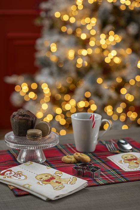 Set 2 Tovagliette Colazione con Tovagliolo Thunland