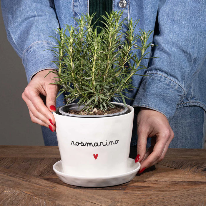 Vaso in Gres "Rosmarino" D. 15cm H. 12cm