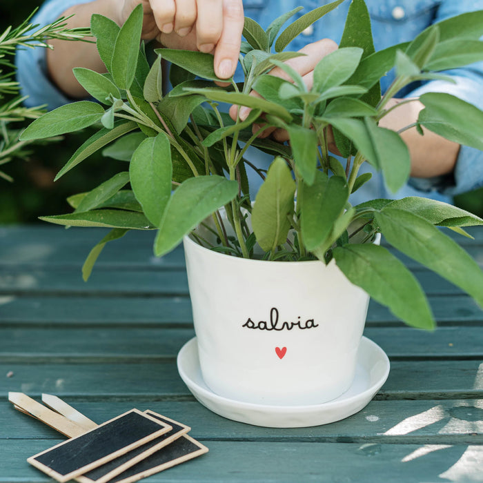 Vaso in Gres "Salvia" D. 15cm H. 12cm