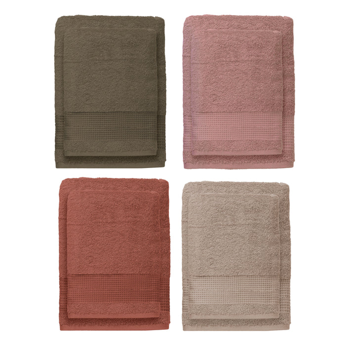 Coppia Spugna Atelier - 4 Colori
