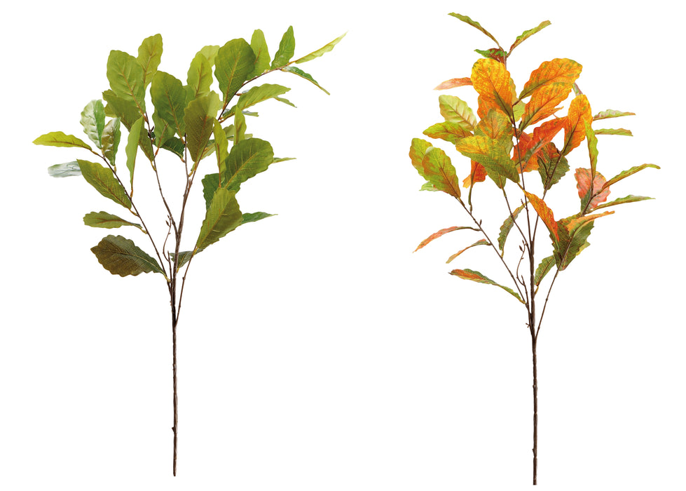 Ramo di Fagus H. 93cm - 2 Colori