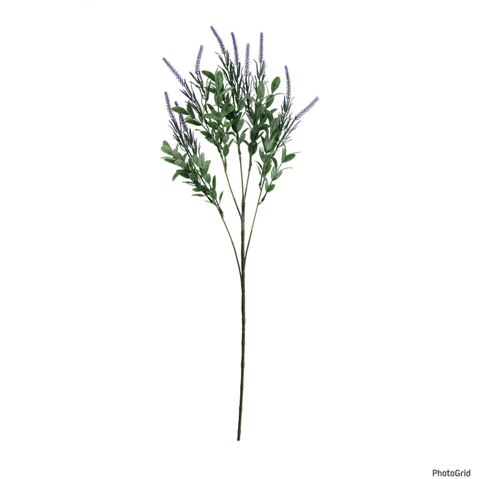 Ramoscello con Fiori di Lavanda