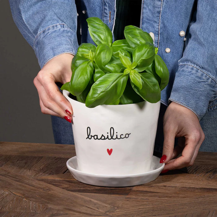 Vaso in Gres "Basilico" D. 15cm H. 12cm