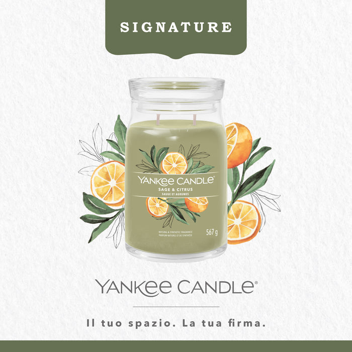 Yankee Candle Large Jar Sage &amp; Citrus